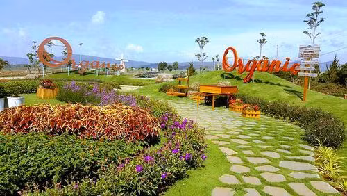 Trang trại như trời Âu ngay gần Đà Lạt ảnh 3