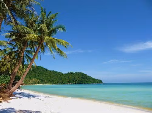 Chốn thiên đường Đảo Dừa biển xanh ảnh 2