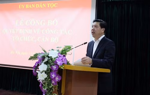 Thứ trưởng, Phó Chủ nhiệm Lê Sơn Hải phát biểu tại buổi Lễ. Ảnh: ubdt.gov.vn