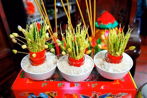 Hoa cau được buộc lại thành 3 bó nhỏ, bó thứ nhất có ý nghĩa tạ ơn công ơn cha, bó thứ hai để tạ ơn mẹ, bó thứ ba để tạ ơn anh chị.