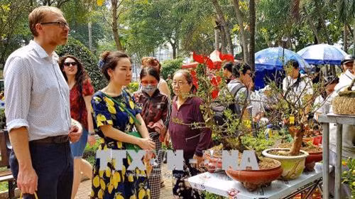 Khách tham quan gian hàng hoa mai tại một chợ Hoa Xuân Thành phố Hồ Chí Minh 2018. Ảnh: Thế Anh - TTXVN