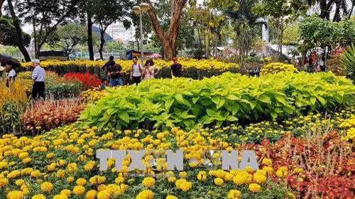 Hàng trăm loại hoa nhiều màu sắc tại một Hội Hoa Xuân Thành phố Hồ Chí Minh 2018. Ảnh: Thế Anh - TTXVN