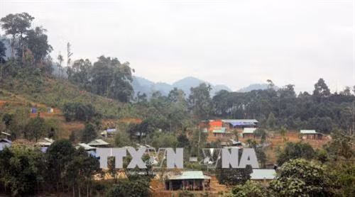 Bản mới Khe Chữ những ngày giáp Tết. Ảnh: Trần Tĩnh - TTXVN