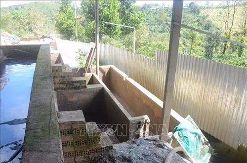 Bể xử lý nước của cơ sở tái chế nhựa tạm bợ, hôi thối. Ảnh: TTXVN phát