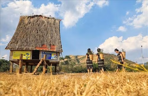Cách trung tâm Gia Lai khoảng 30 km về hướng đông bắc, thuộc địa phận huyện Chư Pah mỗi mùa núi lửa Chư Đăng Ya mang một sắc màu riêng. Ảnh: Thành Đạt – TTXVN Biển Hồ, thắng cảnh du lịch nổi tiếng của thành phố Pleiku, tỉnh Gia Lai. Ảnh: Thành Đạt – TTXVN Vẻ đẹp hùng vĩ của núi rừng Gia Lai. Ảnh: Thành Đạt – TTXVN Hoa cà phê trắng muốt có mùi hương ngọt ngào. Ảnh: Thành Đạt – TTXVN Rừng hoa cà phê trắng muốt trải dài trên phố núi Pleiku. Ảnh: Thành Đạt – TTXVN Quảng trường Đại Đoàn Kết - công trình được mệnh danh là trái tim Pleiku. Ảnh: Thành Đạt – TTXVN Văn hóa cồng chiêng di sản không thể thiếu ở Gia Lai. Ảnh: Thành Đạt – TTXVN Vẻ đẹp hùng vĩ của núi rừng Gia Lai với hình ảnh nhà rông và núi lửa Chư Đăng Ya. Ảnh: Thành Đạt - TTXVN