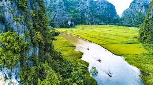 Du khách đi thuyền trên dòng Ngô Đồng tham quan cánh đồng lúa trải dài.