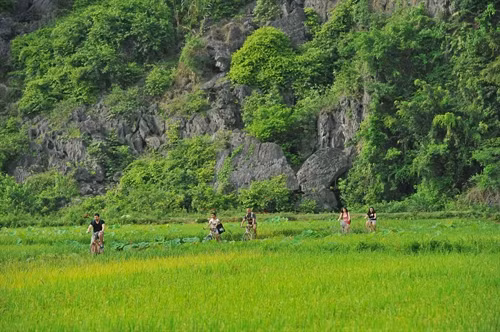 Du khách tới tham quan Tam Cốc bằng đường bộ.