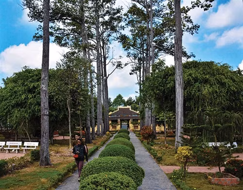 Lối vào Đại Thành điện với hàng cây sao gần trăm tuổi