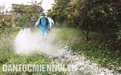 Môi trường xung quanh khu chăn nuôi cũng cần được khử trùng để ngăn chặn nguồn bệnh từ bên ngoài. Ảnh: Thế Duyệt