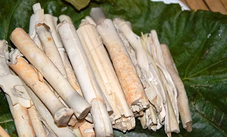 Đọt mây luộc