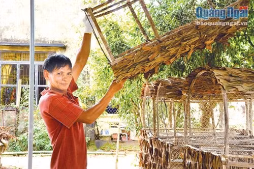 Nghề làm bóng mực ở Đức Lợi ảnh 4