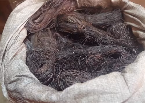 Tang vật vụ án.