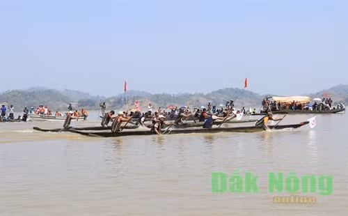 Các đội đua thuyền xuất sắc thi đấu ở vòng chung kết