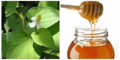 Mặt nạ diếp cá, mật ong giúp làn da trắng sáng, mềm mại