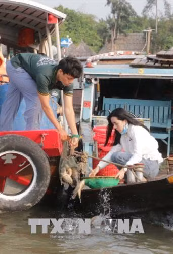 Sáng 1/4/2018, tại bến Ninh Kiều, thành phố Cần Thơ, Sở Nông nghiệp và Phát triển nông thôn thành phố phối hợp với Giáo hội Phật giáo Việt Nam thành phố Cần Thơ tổ chức thả trên 3 tấn cá giống các loại về thiên nhiên để tái tạo nguồn lợi thủy sản. Ảnh: Ngọc Thiện-TTXVN