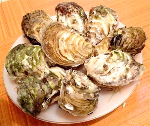 Vỏ hàu là vị thuốc quý ảnh 1