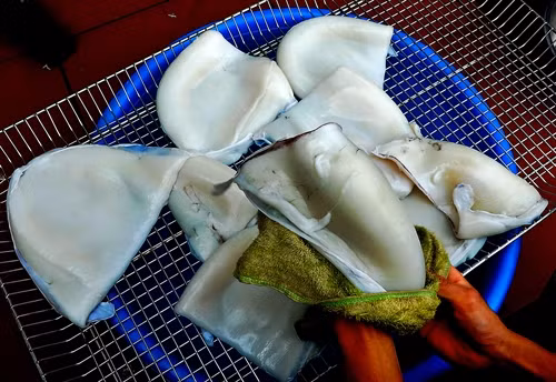 Nguồn nguyên liệu chính để tạo nên món chả mực đặc sản là mực mai được chọn mua rất kỹ lưỡng.