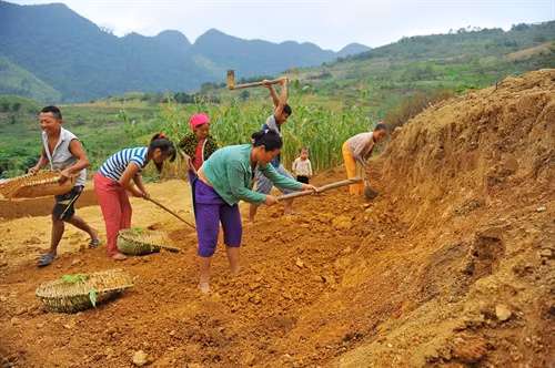Đất làm nhà trình tường được ngườic Mông rất chú trọng. Sau khi chọn được đất tốt, đất lành, người ta tiến hành san nền, kê móng, trình tường nhà.