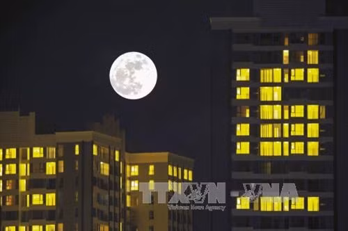 Hình ảnh siêu mặt trăng to khác thường trên bầu trời của những toà nhà chung cư tại Hà Nội.Ảnh: Minh Đức - TTXVN
