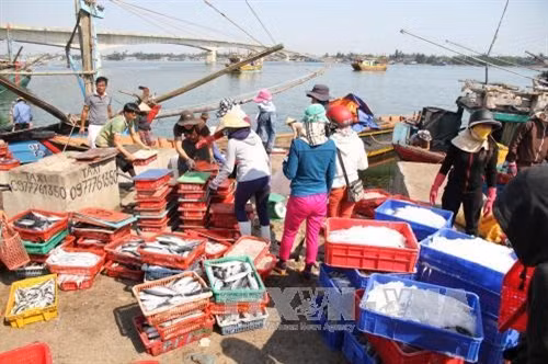 Thừa Thiên - Huế sẽ tập trung khai thác thế mạnh nuôi trồng và đánh bắt thủy sản. Ảnh: Thanh Thủy/TTXVN