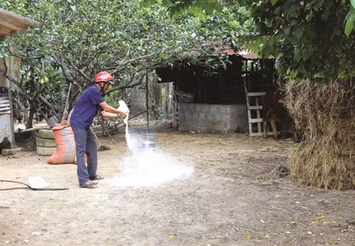 Thực hiện định kỳ tiêu độc khử trùng chuồng trại nuôi trâu, bò