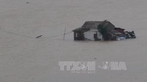 Cảnh nhà dân bị ngập chìm trong nước ở xã Quảng Hải (thị xã Ba Đồn, tỉnh Quảng Bình), sáng 1/11.
