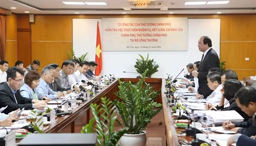 Đồng chí Mai Tiến Dũng phát biểu tại buổi làm việc. Ảnh: Doãn Tấn - TTXVN