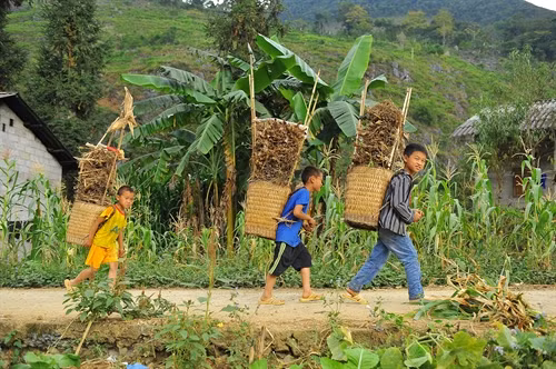 Quẩy tấu là sự sáng tạo trong lao động của người dân miền núi, nó được ví như chiếc địu, như chiếc ba lô và hầu hết mọi thứ cần mang vác đều được đựng trong quẩy tấu.