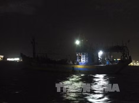 Nguồn ảnh: Báo Tin Tức- TTXVN