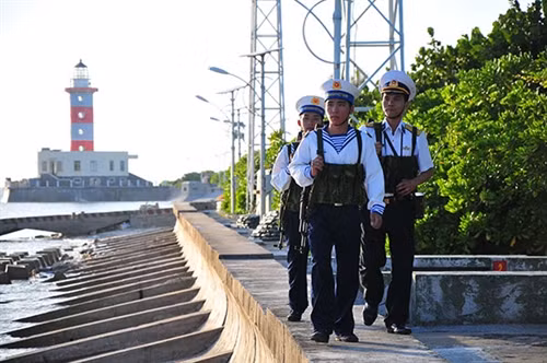 Cây xanh trên đường tuần tra ven biển