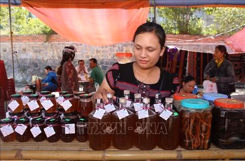 Không gian trưng bày giới thiệu nông sản vùng cao A Lưới tại ngày hội. Ảnh: Hồ Cầu-TTXVN