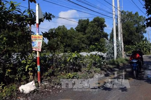 Biển quảng cáo và tờ rơi ghi số điện thoại mua bán đất dán đầy trên cột điện tại khu vực huyện Hóc Môn. Ảnh: Hoàng Hải-TTXVN