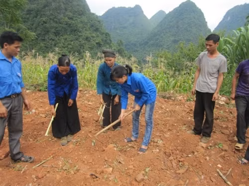 Ảnh minh họa. Nguồn: internet