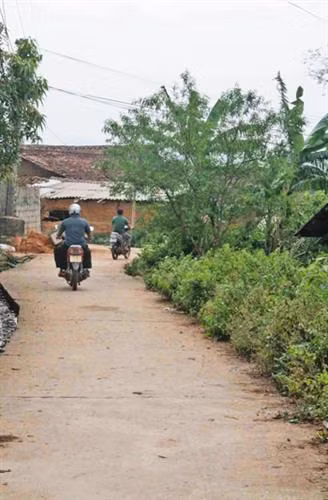Xã biên giới đầu tiên đạt chuẩn nông thôn mới của Lạng Sơn ảnh 6