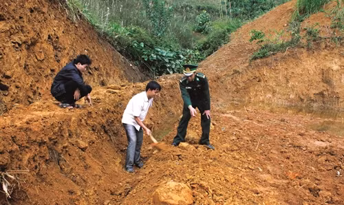 Hướng dẫn đồng bào khai hoang làm ruộng