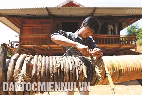 Mây được phơi khô và quấn chặt để tạo khuôn ghế