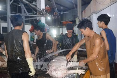 Điểm giết mổ gia súc Thành Vinh, huyện Đức Hòa.