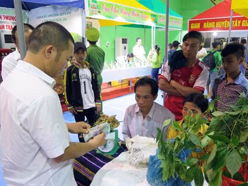 Mua bán sâm tại hội chợ. Ảnh: Nguyễn Sơn - TTXVN