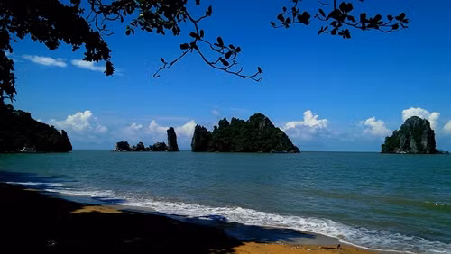 Ảnh minh họa- TTXVN