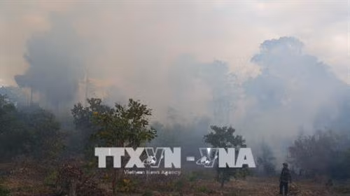 Lực lượng chữa cháy nỗ lực dập tắt lửa, không cho lan rộng. Ảnh: Hồng Điệp – TTXVN