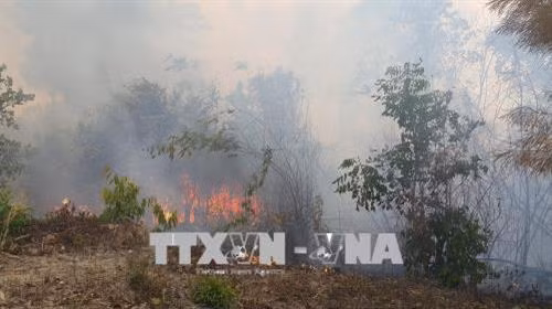 Đám cháy bùng phát mạnh tại lâm phần Ban quản lý rừng phòng hộ Ia Grai, thuộc địa phận xã Ia Chía, huyện Ia Grai, tỉnh Gia Lai. Ảnh: Hồng Điệp – TTXVN