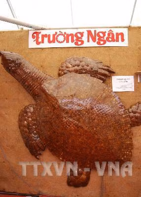 Xây dựng thương hiệu du lịch xứ dừa Bến Tre ảnh 6