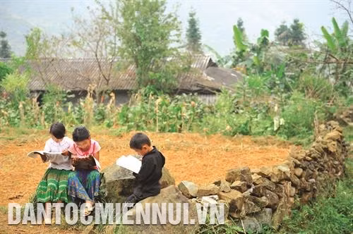 Ngày hè, các em tự lấy sách vở ra để ôn bài