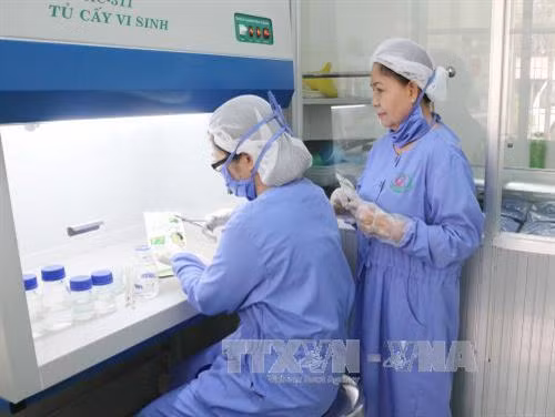 Xây dựng thương hiệu du lịch xứ dừa Bến Tre ảnh 2