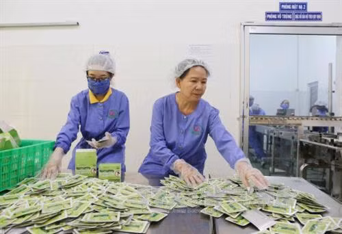 Xây dựng thương hiệu du lịch xứ dừa Bến Tre ảnh 1