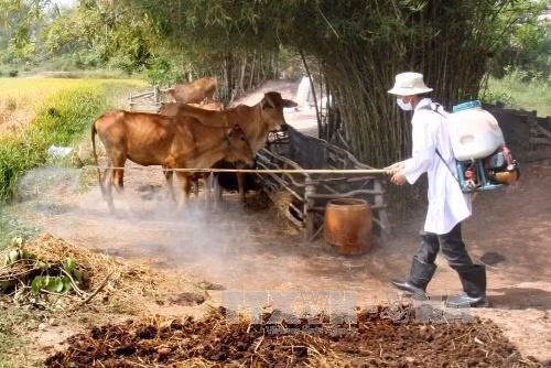 Phun thuốc khử trùng, tiêu độc khu vực chăn nuôi nông hộ ở các xã biên giới thuộc thị xã Kiến Tường (Long An). Ảnh: Đình Huệ - TTXVN