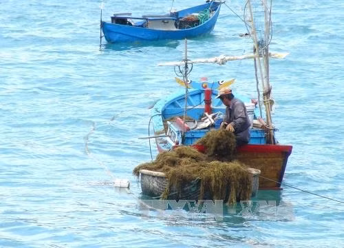Phát triển bền vững biển đảo là nền tảng cho ngành mũi nhọn ảnh 1