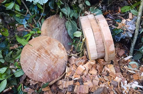 Những chiếc thớt bằng gỗ nghiến được cắt xẻ, đẽo gọt hoàn thiện chờ mang đi tiêu thụ.