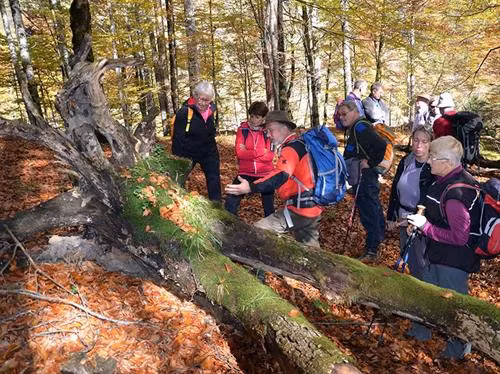 Du khách tham quan tại Công viên quốc gia Kalkalpen. Ảnh: nationalparksaustria.at