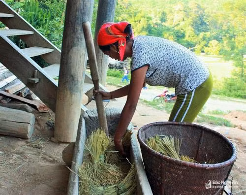 Cận cảnh những chiếc cối giã gạo truyền thống của đồng bào miền Tây xứ Nghệ ảnh 5